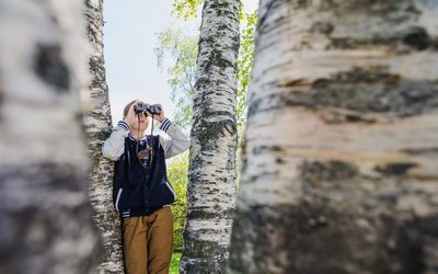 Ein Mädchen steht mit einem Fernglas zwischen mehreren Birkenstämmen und beobachtet mit dem Fernglas.