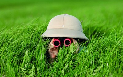 Kind mit Fernglas liegt im Gras und beobachtet etwas