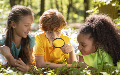 Drei Kinder erforschen mit einer Lupe den Wald.