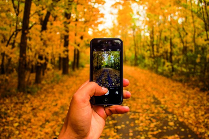 Blick auf Smartphone in Hand und Wald